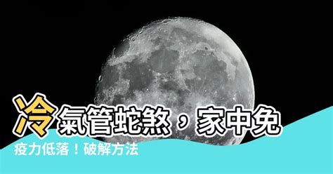 蛇煞化解方式|【室外蛇煞】室外蛇煞不可小覷！教你避開風水上的毒蛇煞！